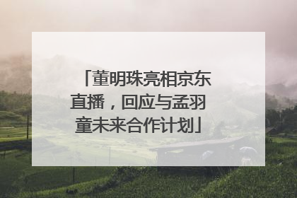 董明珠亮相京东直播，回应与孟羽童未来合作计划