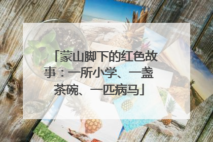 蒙山脚下的红色故事：一所小学、一盏茶碗、一匹病马