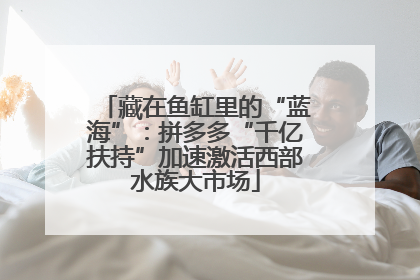 藏在鱼缸里的“蓝海”：拼多多“千亿扶持”加速激活西部水族大市场
