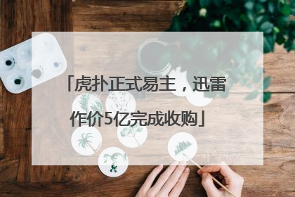 虎扑正式易主，迅雷作价5亿完成收购