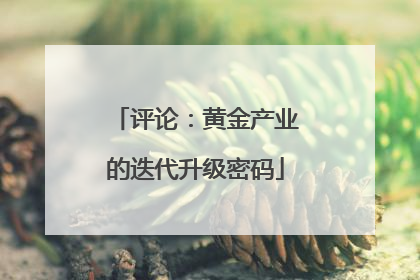 评论：黄金产业的迭代升级密码