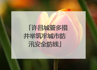 许昌城管多措并举筑牢城市防汛安全防线