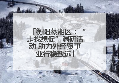 衡阳蒸湘区：“走找想促”调研活动 助力外经贸事业行稳致远