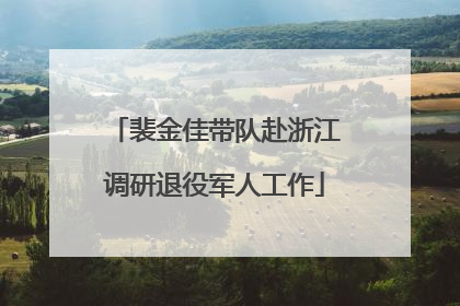 裴金佳带队赴浙江调研退役军人工作
