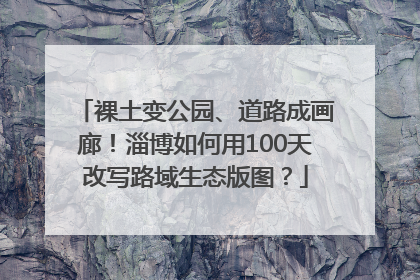 裸土变公园、道路成画廊！淄博如何用100天改写路域生态版图？