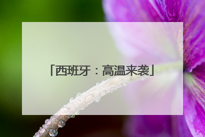 西班牙：高温来袭