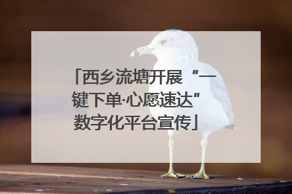 西乡流塘开展“一键下单·心愿速达”数字化平台宣传