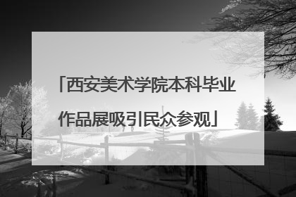 西安美术学院本科毕业作品展吸引民众参观