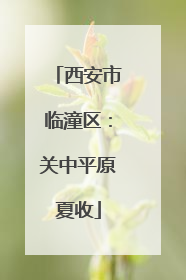 西安市临潼区：关中平原夏收