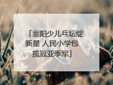 襄阳少儿乓坛绽新星 人民小学包揽冠亚季军