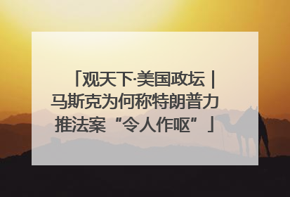 观天下·美国政坛｜马斯克为何称特朗普力推法案“令人作呕”