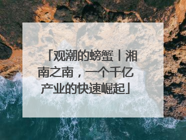观潮的螃蟹丨湘南之南，一个千亿产业的快速崛起