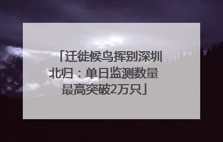 迁徙候鸟挥别深圳北归：单日监测数量最高突破2万只
