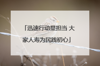 迅速行动显担当 大家人寿为民践初心