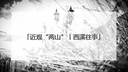 近观“两山”丨西溪往事
