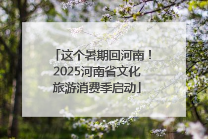 这个暑期回河南！2025河南省文化旅游消费季启动