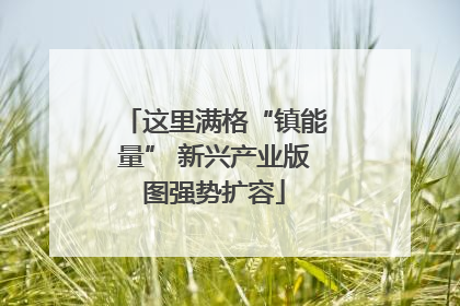 这里满格“镇能量” 新兴产业版图强势扩容