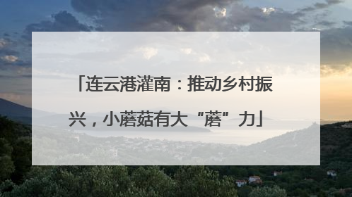 连云港灌南：推动乡村振兴，小蘑菇有大“蘑”力