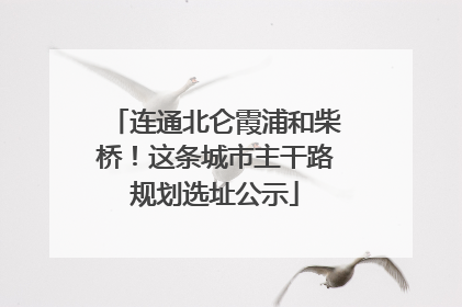 连通北仑霞浦和柴桥！这条城市主干路规划选址公示