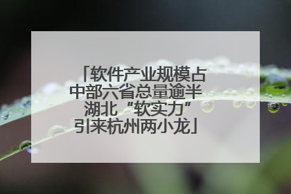 软件产业规模占中部六省总量逾半 湖北“软实力”引来杭州两小龙