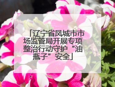 辽宁省凤城市市场监管局开展专项整治行动守护“油瓶子”安全