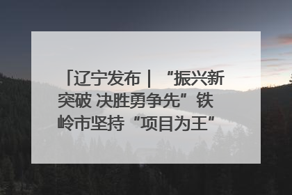 辽宁发布｜“振兴新突破 决胜勇争先”铁岭市坚持“项目为王”推进经济高质量发展