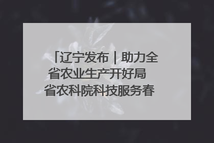 辽宁发布｜助力全省农业生产开好局 省农科院科技服务春耕备耕成效显著