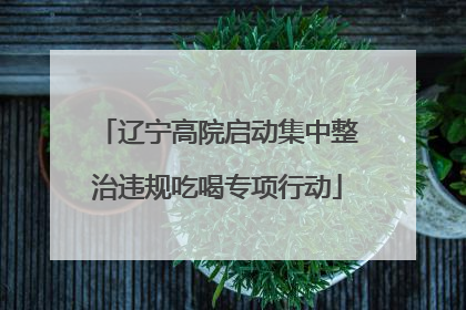 辽宁高院启动集中整治违规吃喝专项行动