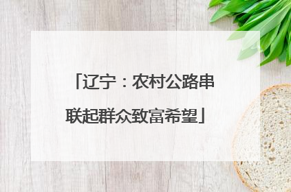 辽宁：农村公路串联起群众致富希望