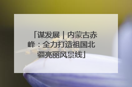 谋发展｜内蒙古赤峰：全力打造祖国北疆亮丽风景线