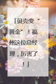 贝壳变“黄金”！福州这位总经理，厉害了！