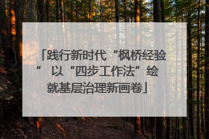 践行新时代“枫桥经验” 以“四步工作法”绘就基层治理新画卷