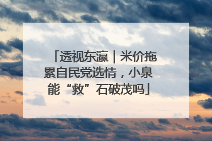 透视东瀛｜米价拖累自民党选情，小泉能“救”石破茂吗