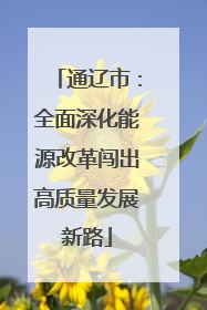通辽市：全面深化能源改革闯出高质量发展新路