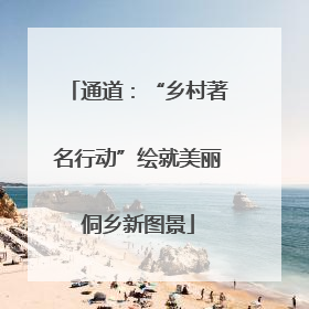 通道：“乡村著名行动”绘就美丽侗乡新图景