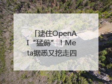 逮住OpenAI“猛薅”！Meta据悉又挖走四位知名研究人员