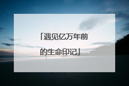 遇见亿万年前的生命印记