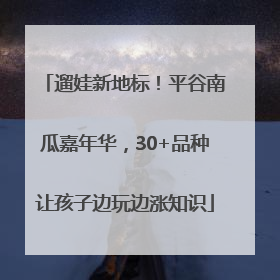 遛娃新地标！平谷南瓜嘉年华，30+品种让孩子边玩边涨知识