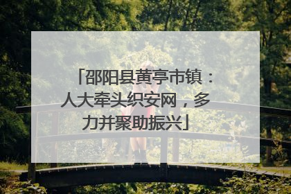 邵阳县黄亭市镇：人大牵头织安网，多力并聚助振兴