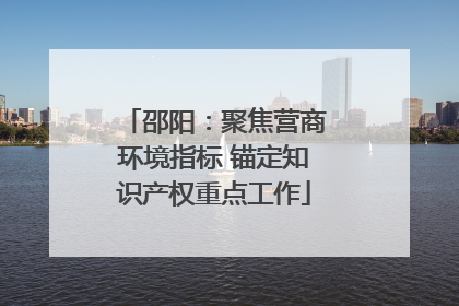邵阳：聚焦营商环境指标 锚定知识产权重点工作
