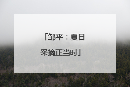 邹平：夏日采摘正当时