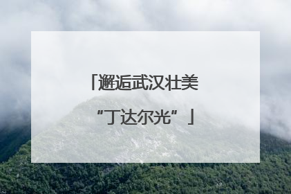 邂逅武汉壮美“丁达尔光”