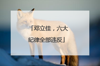 邓立佳，六大纪律全部违反