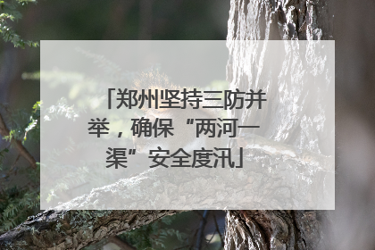 郑州坚持三防并举，确保“两河一渠”安全度汛