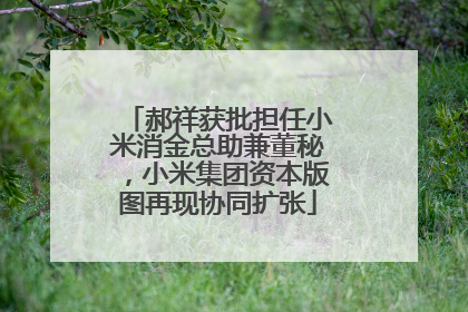 郝祥获批担任小米消金总助兼董秘，小米集团资本版图再现协同扩张