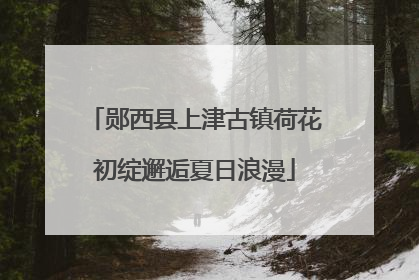 郧西县上津古镇荷花初绽邂逅夏日浪漫