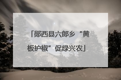 郧西县六郎乡“黄板护椒”促绿兴农