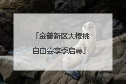 金普新区大樱桃自由尝享季启幕