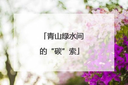青山绿水间的“碳”索
