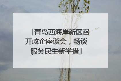 青岛西海岸新区召开政企座谈会，畅谈服务民生新举措
